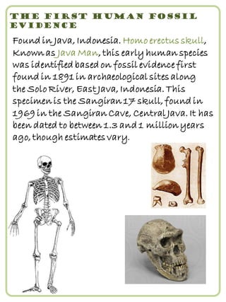 BIOLOGY PROJECT (1)_compressed_organized (1).pdf
