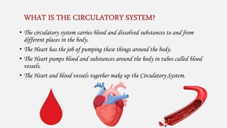 WHAT IS THE CIRCULATORY SYSTEM?
• The circulatory system carries blood and dissolved substances to and from
different places in the body.
• The Heart has the job of pumping these things around the body.
• The Heart pumps blood and substances around the body in tubes called blood
vessels.
• The Heart and blood vessels together make up the Circulatory System.
 