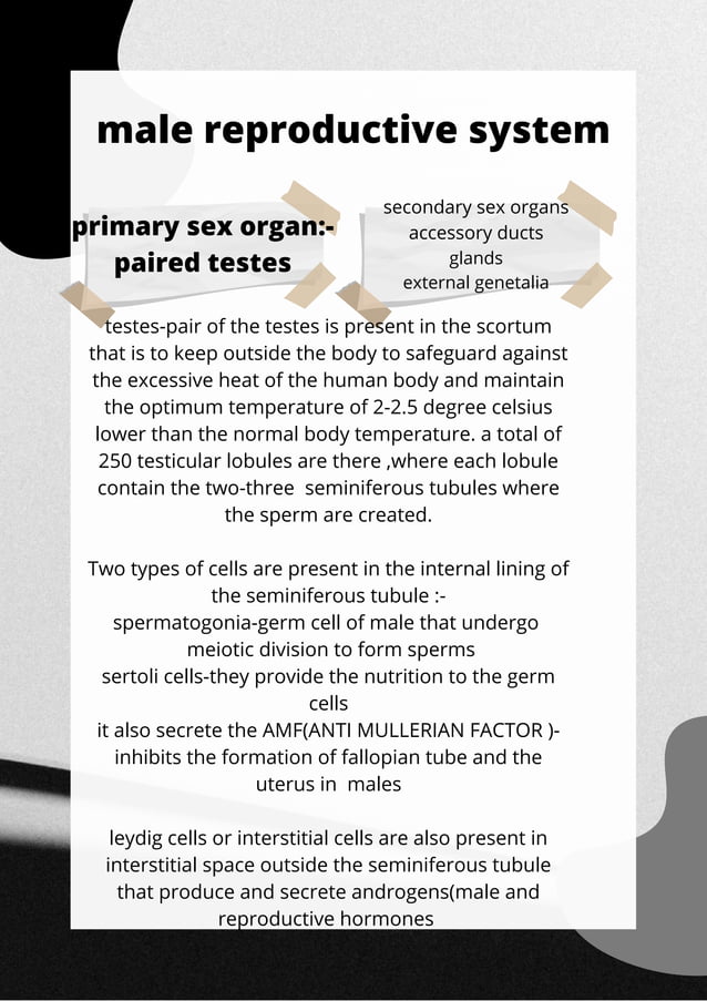 BIOLOGY PROJECT FILE.pdf