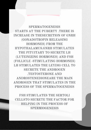 SPERMATOGENESIS
STARTS AT THE PUBERTY .THERE IS
INCREASE IN THESECRETION OF GNRH
(GONADOTROPIN RELEASING
HORMONES) FROM THE
HYPOTHALAMUS.GNRH STIMULATES
THE PITUITARY TO SECRETE LH
(LUTEINIZING HORMONES) AND FSH
(FOLLICLE -STIMULATING HORMONES)
LH STIMULATES THE LEYDIG CELL TO
SECRETE THE ANDROGEN
.TESTOSTERONE AND
ANDROSTENEDIONEARE THE MAIN
ANDROGEN THAT STIMULATES IN THE
PROCESS OF THE SPERMATOGENESIS


FSH STIMULATES THE SERTOLI
CELLSTO SECRETE THE FACTOR FOR
HELPING IN THE PROCESS OF
SPERMIOGENESIS
 