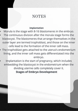 NOTES
Morula is the stage with 8-16 blastomeres in the embryo.
The continuous division after the morula stage forms the
blastocyst. The blastomeres that arrange themselves in the
outer layer are termed trophoblast, and those on the inner
cells lead to the formation of the inner cell mass.
The trophoblast gets attached to the uterus’s endometrium
lining, and the inner cell mass gets differentiated into the
embryo.
Implantation is the start of pregnancy, which includes
embedding the blastocyst in the endometrium when the
dividing uterine cells completely cover it.
implantation
Stages of Embryo Development


 