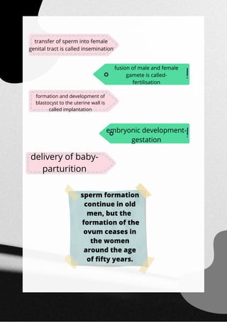 transfer of sperm into female
genital tract is called insemination
fusion of male and female
gamete is called-
fertilisation
formation and development of
blastocyst to the uterine wall is
called implantation
embryonic development-
gestation
delivery of baby-
parturition
sperm formation
continue in old
men, but the
formation of the
ovum ceases in
the women
around the age
of fifty years.
 