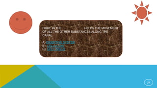 24
FIBRE IN THE HELPS THE MOVEMENT
OF ALL THE OTHER SUBSTANCES ALONG THE
CANAL.
A) DIGERTIVE SYSTEM
B) CELLULOSE
C) CELL WALLS
 