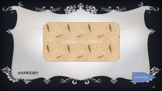 25
ANSWER!!!
A) DIGESTIVE SYSTEM
GO BACK
 