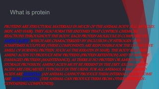 What is protein
PROTEINS ARE STRUCTURAL MATERIALS IN MUCH OF THE ANIMAL BODY (E.G. MUSCLES,
SKIN, AND HAIR). THEY ALSO FORM THE ENZYMES THAT CONTROL CHEMICAL
REACTIONS THROUGHOUT THE BODY. EACH PROTEIN MOLECULE IS COMPOSED OF
AMINO ACIDS, WHICH ARE CHARACTERIZED BY INCLUSION OF NITROGEN AND
SOMETIMES SCULPTURE (THESE COMPONENTS ARE RESPONSIBLE FOR THE DISTINCTIVE
SMELL OF BURNING PROTEIN, SUCH AS THE KERATIN IN HAIR). THE BODY REQUIRES
AMINO ACIDS TO PRODUCE NEW PROTEINS (PROTEIN RETENTION) AND TO REPLACE
DAMAGED PROTEINS (MAINTENANCE). AS THERE IS NO PROTEIN OR AMINO ACID
STORAGE PROVISION, AMINO ACIDS MUST BE PRESENT IN THE DIET. EXCESS AMINO
ACIDS ARE DISCARDED, TYPICALLY IN THE URINE. FOR ALL ANIMALS, SOME AMINO
ACIDS ARE ESSENTIAL (AN ANIMAL CANNOT PRODUCE THEM INTERNALLY) AND SOME
ARE NON-ESSENTIAL (THE ANIMAL CAN PRODUCE THEM FROM OTHER NITROGEN-
CONTAINING COMPOUNDS).
 