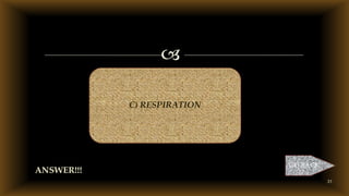 31

ANSWER!!!
GO BACK
C) RESPIRATION
 
