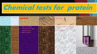 Chemical tests for protein
nutrient Test name
method result before after
protein Biuret
test
 Add1 cm of sodium
 Add3 dropof 1% copper
sulphate solution.
 Shakeand watch
Paleblue color turns to
violet.
dropof coppersulpahte solutions.
Sodium hydroxide
 