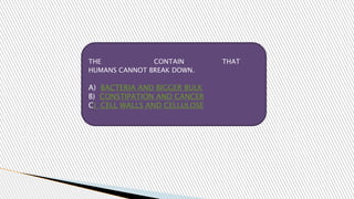 THE CONTAIN THAT
HUMANS CANNOT BREAK DOWN.
A) BACTERIA AND BIGGER BULK
B) CONSTIPATION AND CANCER
C) CELL WALLS AND CELLULOSE
 