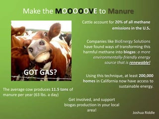 Cattle account for 20% of all methane
emissions in the U.S.
The average cow produces 11.5 tons of
manure per year (63 lbs. a day)
Companies like BioEnergy Solutions
have found ways of transforming this
harmful methane into biogas: a more
environmentally-friendly energy
source that is renewable!
Using this technique, at least 200,000
homes in California now have access to
sustainable energy.
Get involved, and support
biogas production in your local
area!
Make the MOOOOOVE to Manure
GOT GAS?
Joshua Riddle
 