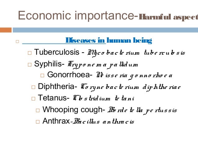 economic importance of angiosperms pdf