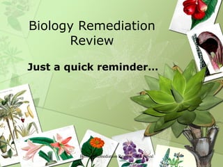 Biology Remediation
      Review

Just a quick reminder…




        Biology Remediation Review - Ms. Royal   1
 