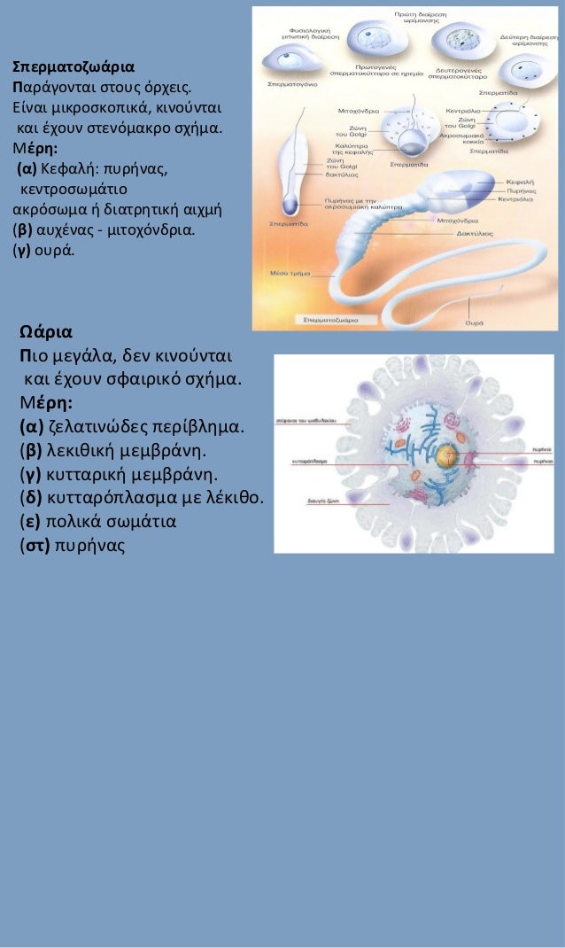 what is the meaning of reproduction in biology what is the meaning of reproduction in biology