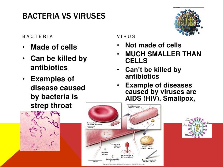 NC Biology EOC Review