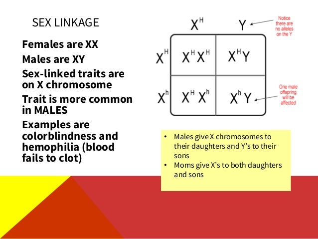 Biology review.ppt - 웹