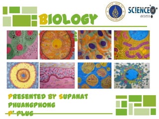 Biology
Review

Presented by Supanat
Phuangphong
P’ Plug

 