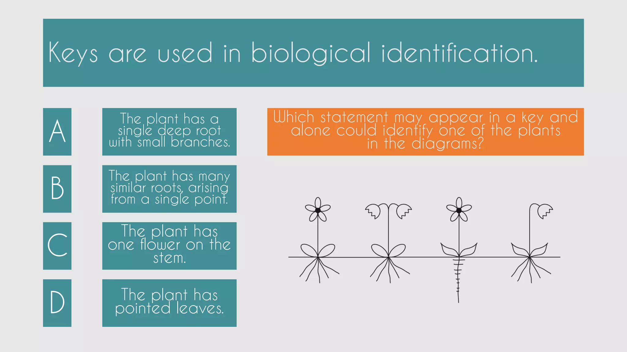 Classification of living organisms - IGCSE - Biology - Questions | PDF