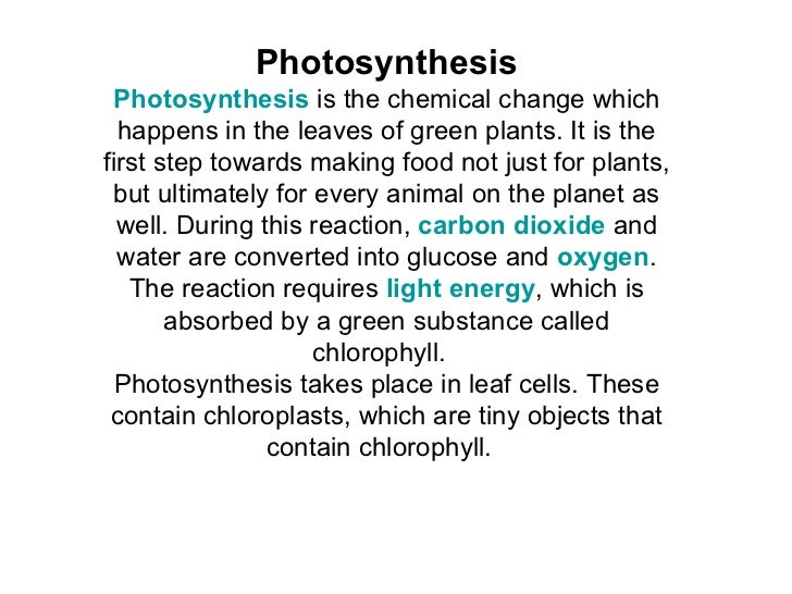 What Is The Food Making Process That Happens In Chloroplasts Called What Is The Food Making Process That Happens In Chloroplasts Called