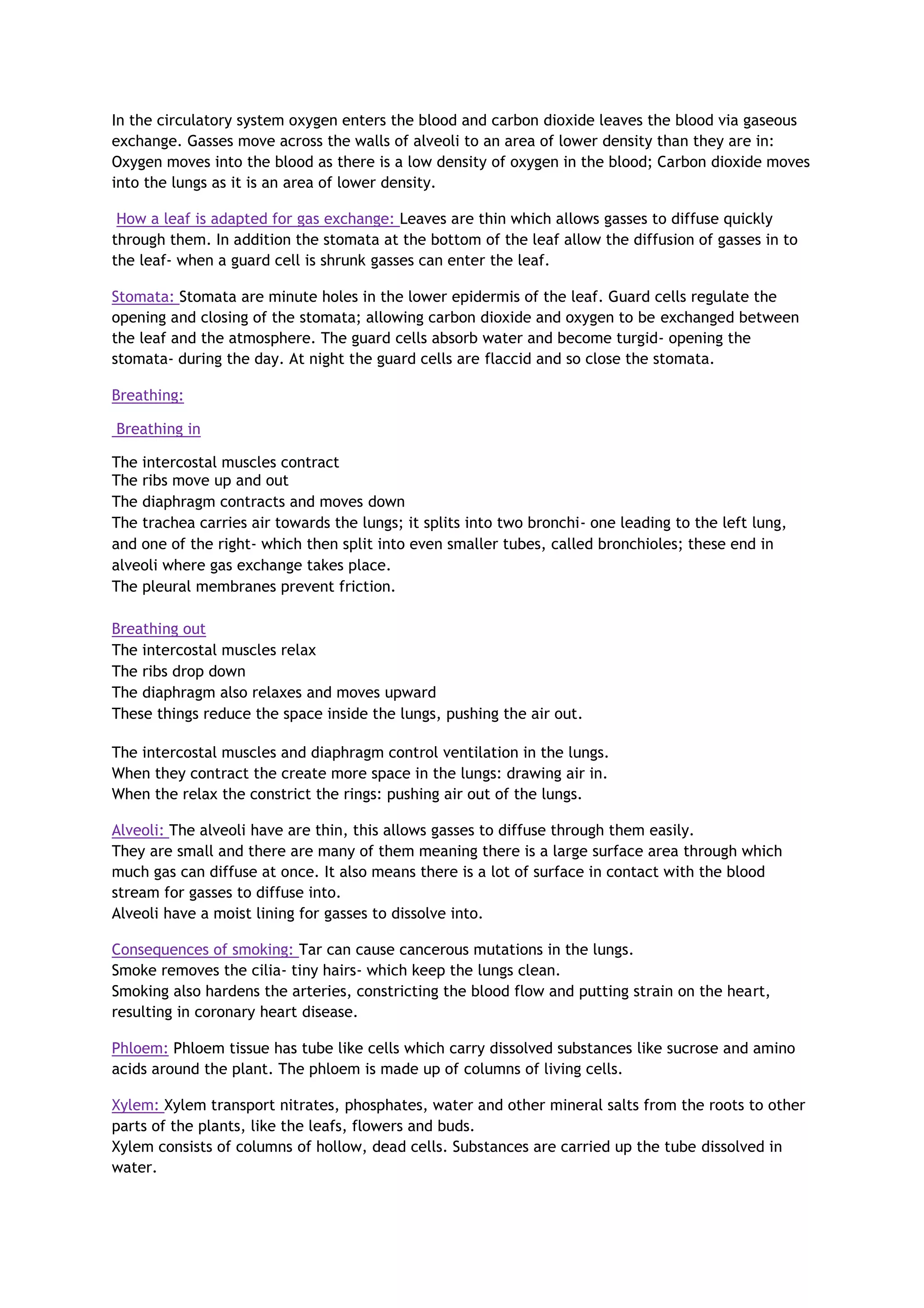 In the circulatory system oxygen enters the blood and carbon dioxide leaves the blood via gaseous
exchange. Gasses move across the walls of alveoli to an area of lower density than they are in:
Oxygen moves into the blood as there is a low density of oxygen in the blood; Carbon dioxide moves
into the lungs as it is an area of lower density.
How a leaf is adapted for gas exchange: Leaves are thin which allows gasses to diffuse quickly
through them. In addition the stomata at the bottom of the leaf allow the diffusion of gasses in to
the leaf- when a guard cell is shrunk gasses can enter the leaf.
Stomata: Stomata are minute holes in the lower epidermis of the leaf. Guard cells regulate the
opening and closing of the stomata; allowing carbon dioxide and oxygen to be exchanged between
the leaf and the atmosphere. The guard cells absorb water and become turgid- opening the
stomata- during the day. At night the guard cells are flaccid and so close the stomata.
Breathing:
Breathing in
The intercostal muscles contract
The ribs move up and out
The diaphragm contracts and moves down
The trachea carries air towards the lungs; it splits into two bronchi- one leading to the left lung,
and one of the right- which then split into even smaller tubes, called bronchioles; these end in
alveoli where gas exchange takes place.
The pleural membranes prevent friction.
Breathing out
The intercostal muscles relax
The ribs drop down
The diaphragm also relaxes and moves upward
These things reduce the space inside the lungs, pushing the air out.
The intercostal muscles and diaphragm control ventilation in the lungs.
When they contract the create more space in the lungs: drawing air in.
When the relax the constrict the rings: pushing air out of the lungs.
Alveoli: The alveoli have are thin, this allows gasses to diffuse through them easily.
They are small and there are many of them meaning there is a large surface area through which
much gas can diffuse at once. It also means there is a lot of surface in contact with the blood
stream for gasses to diffuse into.
Alveoli have a moist lining for gasses to dissolve into.
Consequences of smoking: Tar can cause cancerous mutations in the lungs.
Smoke removes the cilia- tiny hairs- which keep the lungs clean.
Smoking also hardens the arteries, constricting the blood flow and putting strain on the heart,
resulting in coronary heart disease.
Phloem: Phloem tissue has tube like cells which carry dissolved substances like sucrose and amino
acids around the plant. The phloem is made up of columns of living cells.
Xylem: Xylem transport nitrates, phosphates, water and other mineral salts from the roots to other
parts of the plants, like the leafs, flowers and buds.
Xylem consists of columns of hollow, dead cells. Substances are carried up the tube dissolved in
water.
 