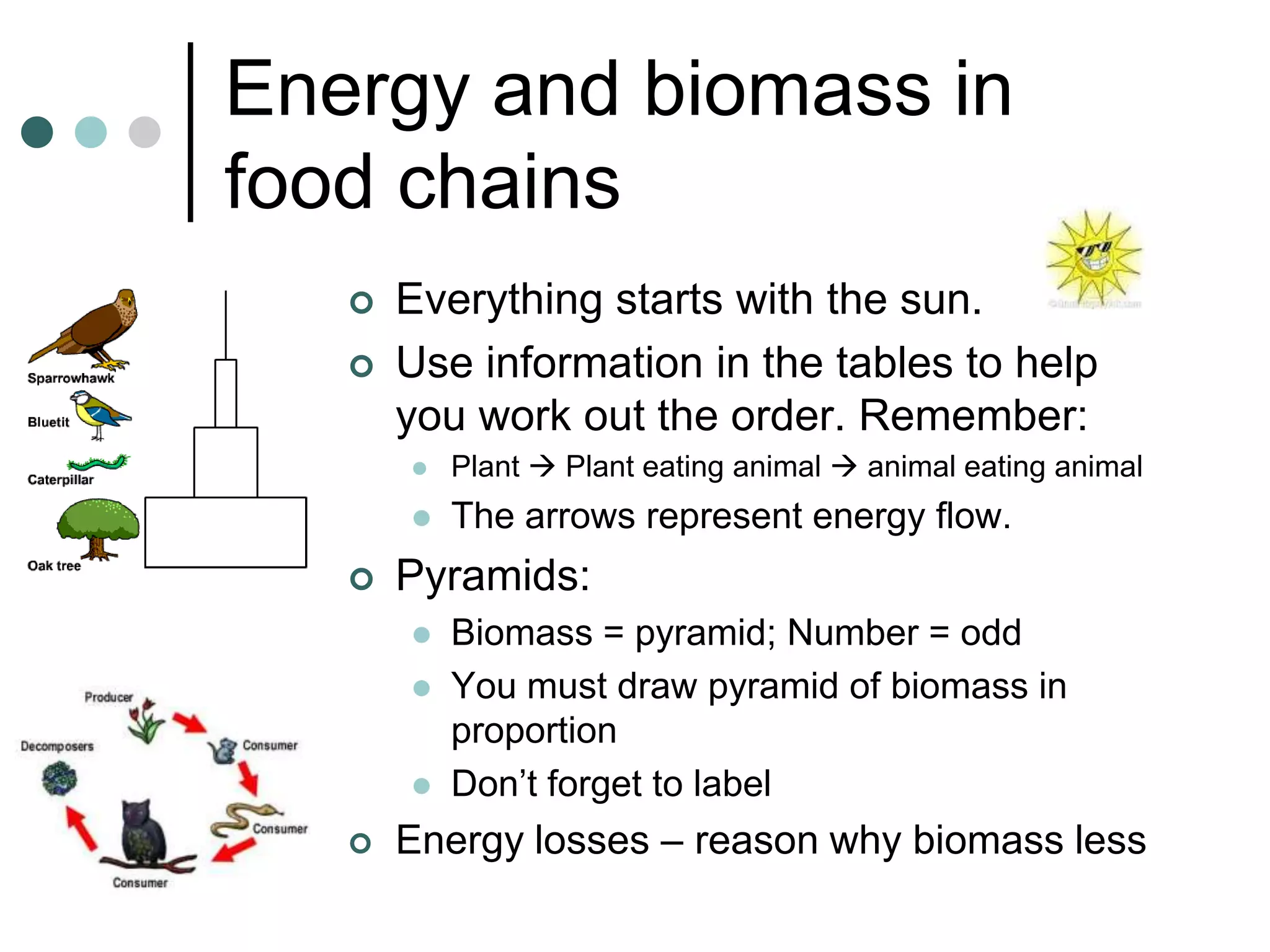 Energy and biomass in
food chains
      Everything starts with the sun.
      Use information in the tables to help
       you work out the order. Remember:
          Plant  Plant eating animal  animal eating animal
          The arrows represent energy flow.
      Pyramids:
          Biomass = pyramid; Number = odd
          You must draw pyramid of biomass in
           proportion
          Don’t forget to label
      Energy losses – reason why biomass less
 