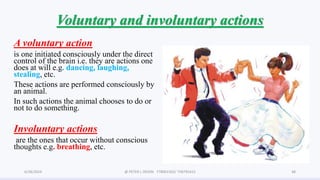 Biology S3 COORDINATION BY TR. OKION 3.pdf