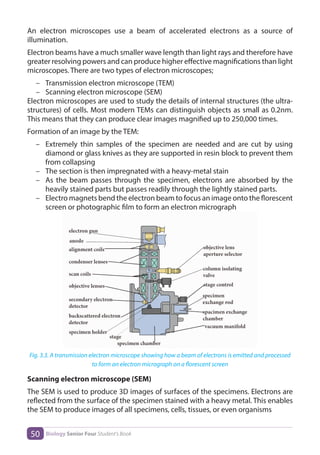 Electron Microscope Notes.pdf Biology S4 SB.pdf document from Rwanda. | PDF