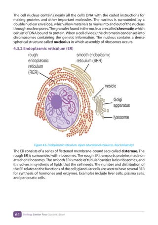 Biology S4 SB.pdf document from Rwanda. | PDF