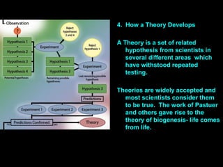 Biology scientific method[10] | PDF