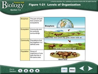 Biology scientific method[10] | PDF