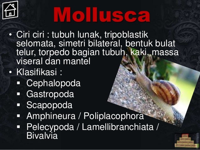 Materi biologi kelas 12 sma