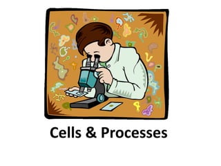 Cells & Processes
 