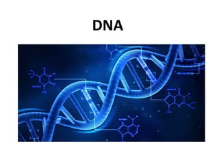 DNA
 