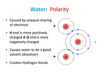 Water: Polarity
• Caused by unequal sharing
of electrons
• H end is more positively
charged & O end is more
negatively charged
• Causes water to be a good
solvent (dissolver)
• Creates Hydrogen bonds
 