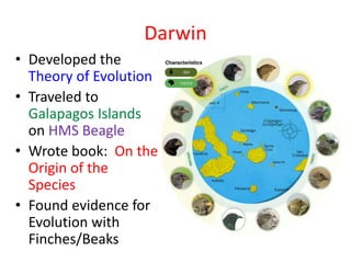 Darwin
• Developed the
Theory of Evolution
• Traveled to
Galapagos Islands
on HMS Beagle
• Wrote book: On the
Origin of the
Species
• Found evidence for
Evolution with
Finches/Beaks
 