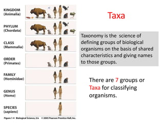 Taxa
Taxonomy is the science of
defining groups of biological
organisms on the basis of shared
characteristics and giving names
to those groups.
There are 7 groups or
Taxa for classifying
organisms.
 