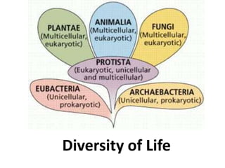 Diversity of Life
 