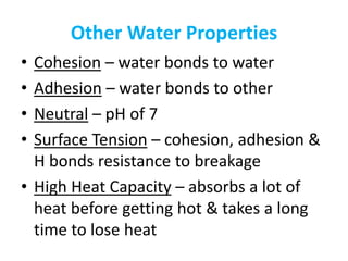 Other Water Properties
• Cohesion – water bonds to water
• Adhesion – water bonds to other
• Neutral – pH of 7
• Surface Tension – cohesion, adhesion &
H bonds resistance to breakage
• High Heat Capacity – absorbs a lot of
heat before getting hot & takes a long
time to lose heat
 