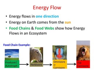 Energy Flow
• Energy flows in one direction
• Energy on Earth comes from the sun
• Food Chains & Food Webs show how Energy
Flows in an Ecosystem
Food Chain Example:
 