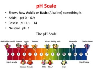 pH Scale
• Shows how Acidic or Basic (Alkaline) something is
• Acids: pH 0 – 6.9
• Bases: pH 7.1 – 14
• Neutral: pH 7
 