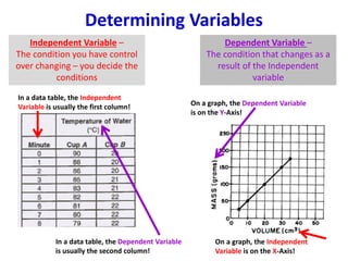 Determining Variables
Independent Variable –
The condition you have control
over changing – you decide the
conditions
Dependent Variable –
The condition that changes as a
result of the Independent
variable
In a data table, the Independent
Variable is usually the first column!
In a data table, the Dependent Variable
is usually the second column!
On a graph, the Dependent Variable
is on the Y-Axis!
On a graph, the Independent
Variable is on the X-Axis!
 