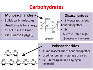 Carbohydrates
Monosaccharides
• Builds carb molecules
• Used by cells for energy
• C-H-O in a 1:2:1 ratio
• Ex: Glucose C6H12O6
Disaccharides
• 2 Monosaccharides
bonded together
• Ex:
Sucrose (table sugar)
(glucose + fructose)
Polysaccharides
• 3+ monosaccharides bonded together
• Used for long term storage of carbs
• Ex: Starch (plants) & Glycogen
(animals)
 