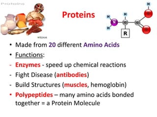 Proteins
• Made from 20 different Amino Acids
• Functions:
- Enzymes - speed up chemical reactions
- Fight Disease (antibodies)
- Build Structures (muscles, hemoglobin)
• Polypeptides – many amino acids bonded
together = a Protein Molecule
 