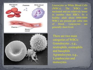 Leucocytes or White Blood Cells
(WBCs): The WBCs are
nucleated and are relatively lesser
in number than RBCs. In a
healthy adult about 6000-8000
WBCs are present per cubic mm
of blood. Leucocytes are
generally short lived.
There are two main
categories of WBCs:
Granulocytes , e.g.,
neutrophils, eosinophils
and basophils
Agranulocytes. e.g.,
Lymphocytes and
monocytes.
 