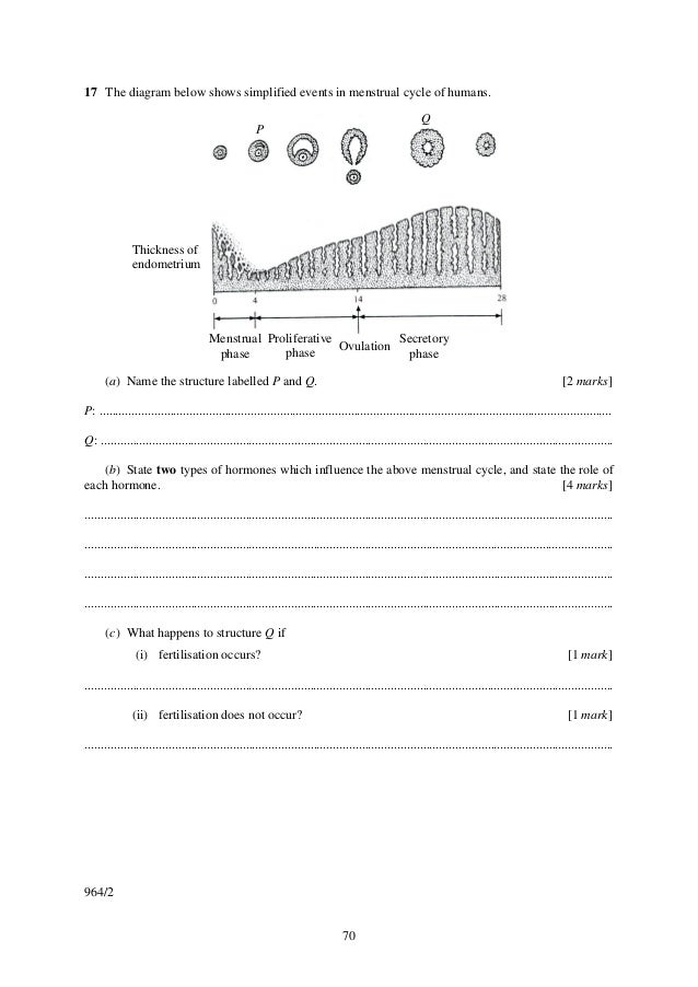 Biology stpm new syllabus