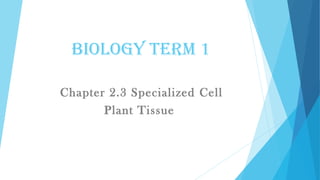 BIOLOGY TERM 1
Chapter 2.3 Specialized Cell
Plant Tissue
 