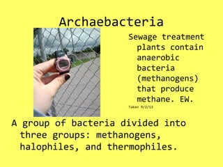 Archaebacteria
A group of bacteria divided into
three groups: methanogens,
halophiles, and thermophiles.
Sewage treatment
plants contain
anaerobic
bacteria
(methanogens)
that produce
methane. EW.
Taken 9/2/13
 