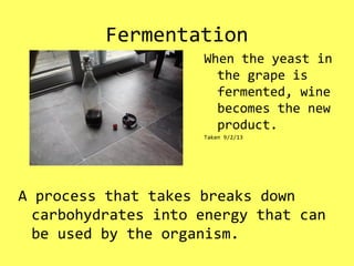 Fermentation
A process that takes breaks down
carbohydrates into energy that can
be used by the organism.
When the yeast in
the grape is
fermented, wine
becomes the new
product.
Taken 9/2/13
 