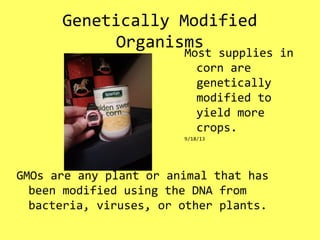 Genetically Modified
Organisms
GMOs are any plant or animal that has
been modified using the DNA from
bacteria, viruses, or other plants.
Most supplies in
corn are
genetically
modified to
yield more
crops.
9/18/13
 