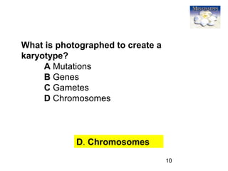 10
What is photographed to create a
karyotype?
A Mutations
B Genes
C Gametes
D Chromosomes
D. Chromosomes
 