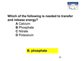 12
Which of the following is needed to transfer
and release energy?
A Calcium
B Phosphate
C Nitrate
D Potassium
B. phosphate
 
