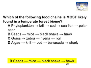 20
Which of the following food chains is MOST likely
found in a temperate forest biome?
A Phytoplankton → krill → cod → sea lion → polar
bear
B Seeds → mice → black snake → hawk
C Grass → zebra → hyena → lion
D Algae → krill → cod → barracuda → shark
B Seeds → mice → black snake → hawk
 